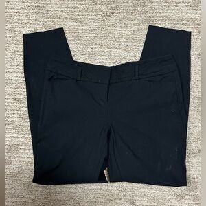 [The Limited] Exact Stretch Skinny Leg, 10